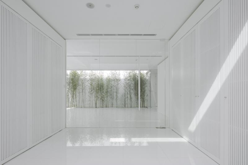 V Studio · Bamboo Forest on the Roof
