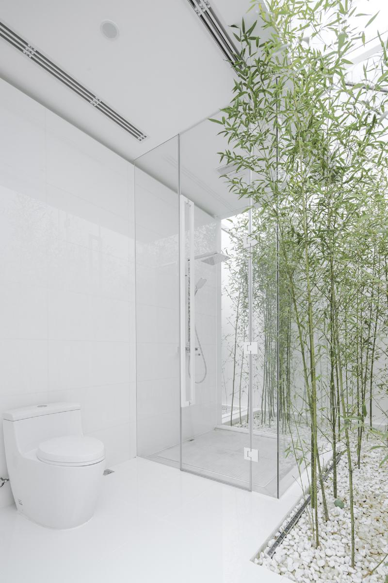 V Studio · Bamboo Forest on the Roof